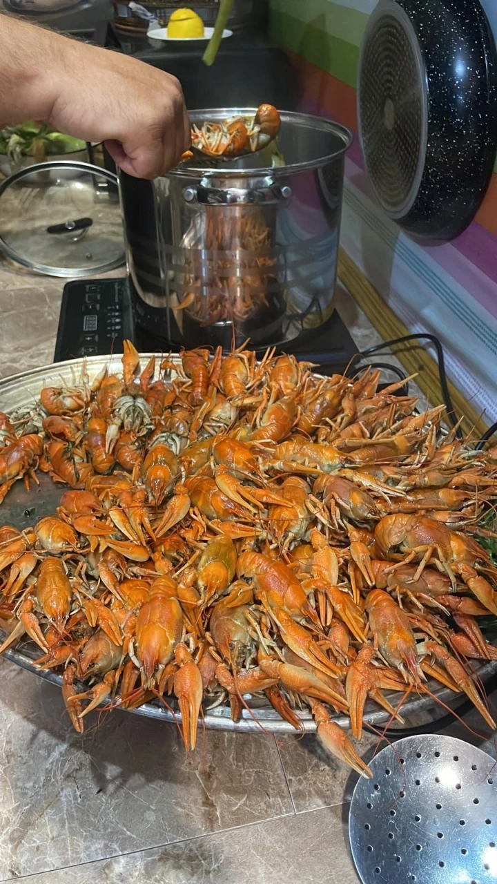 Guest kitchen with fresh coastal cooking at Lustforlife near the sea